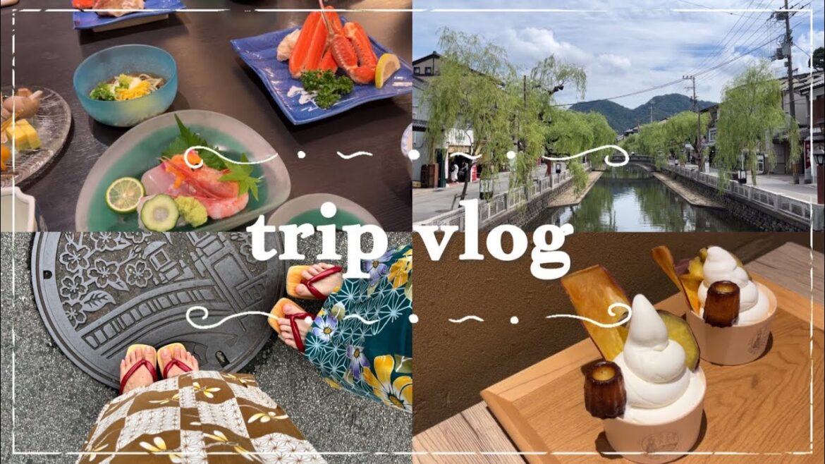 〔trip vlog〕サイコロきっぷ🎲で行く城崎温泉♨️/温泉街とカフェ巡り
