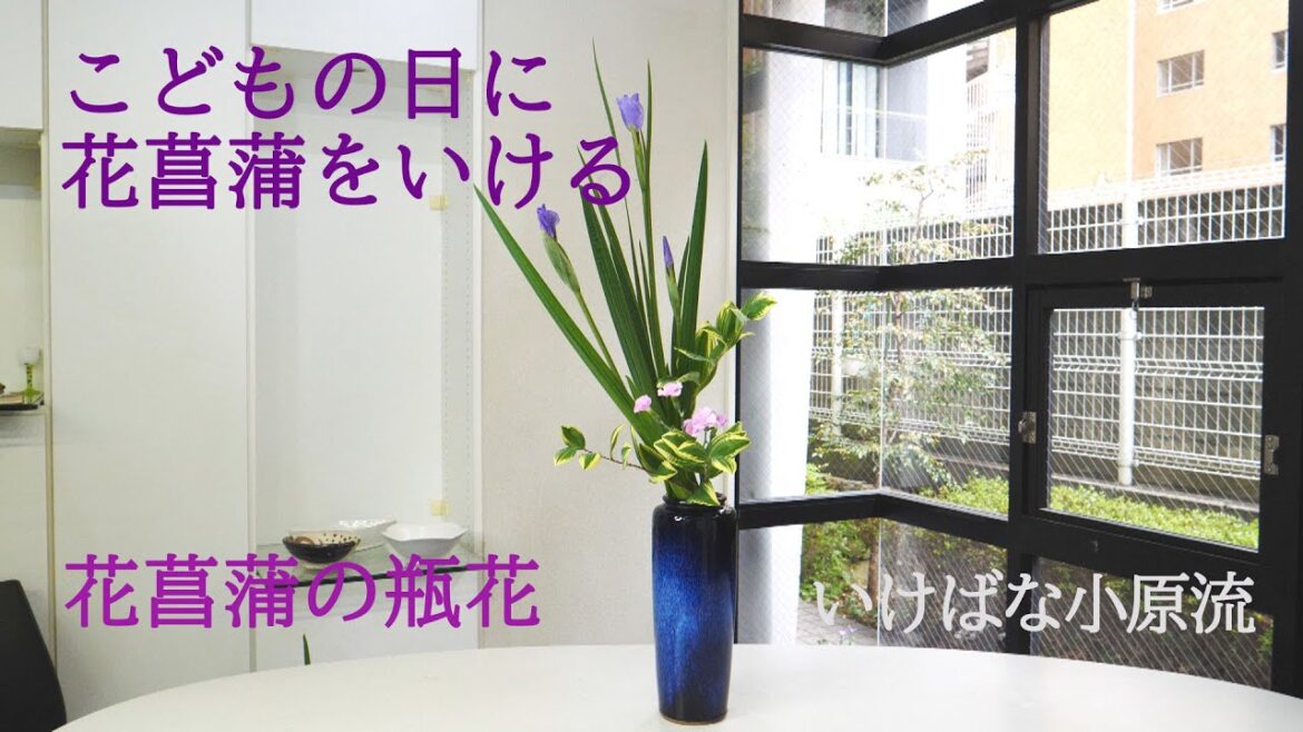 こどもの日に花菖蒲をいける    花菖蒲の瓶花