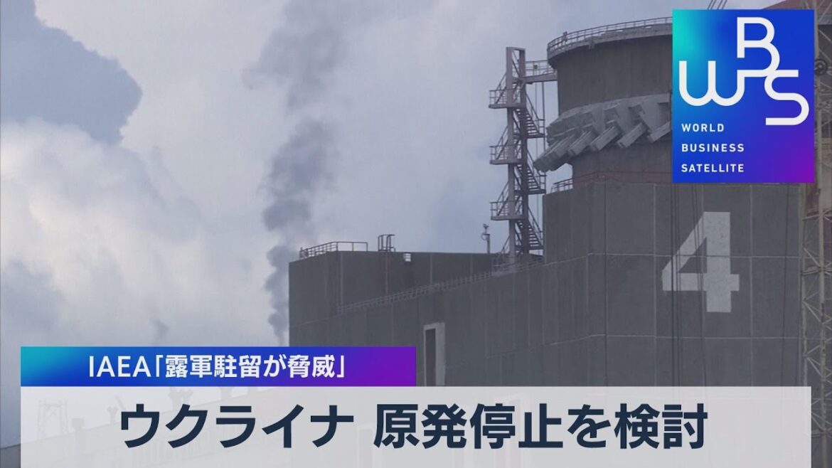 ウクライナ 原発停止を検討 ＩＡＥＡ「露軍駐留が脅威」【WBS】（2022年9月7日）