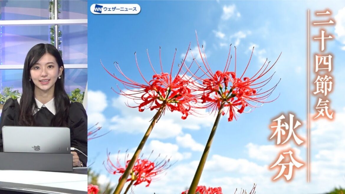 二十四節気「秋分」秋分に咲く花は、地獄の花？ 天界の花？