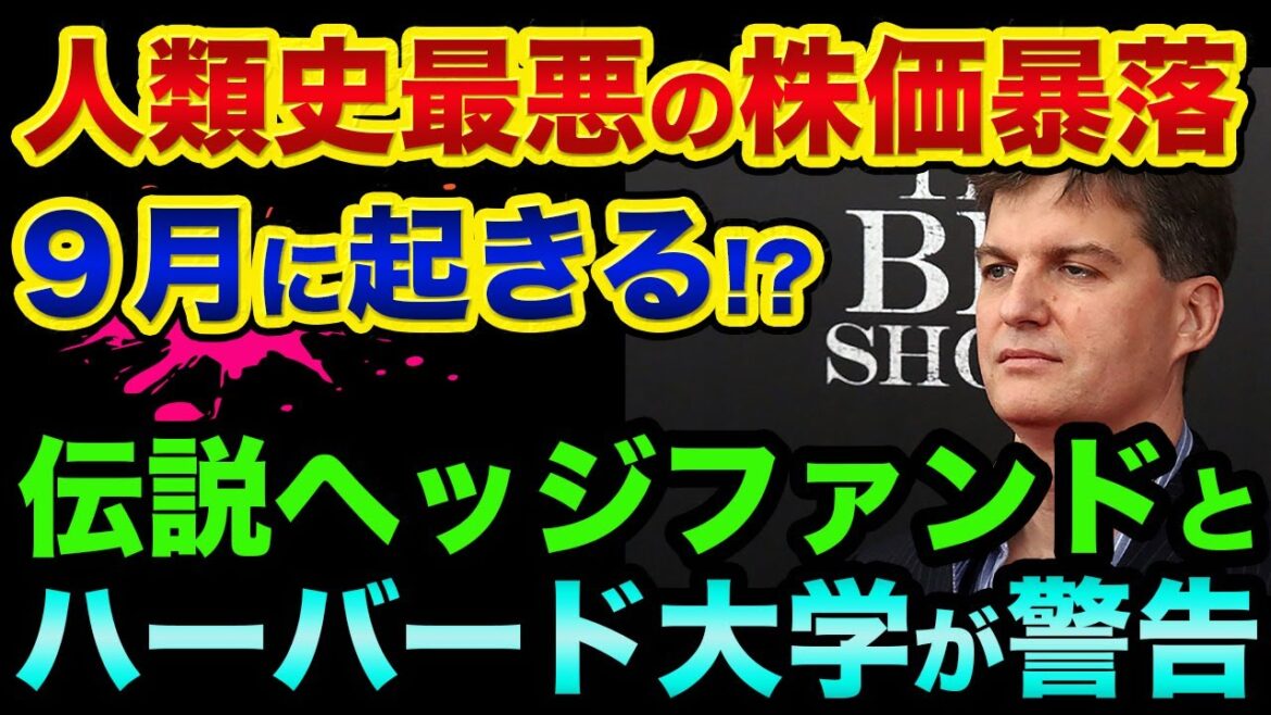 人類史最悪の株価暴落が起こります。リーマンショックを予言して大儲けした伝説のヘッジファンドとロックフェラー系やハーバード大学までもが警告していてヤバすぎる【 株 日経平均 都市伝説 予言 FX 】