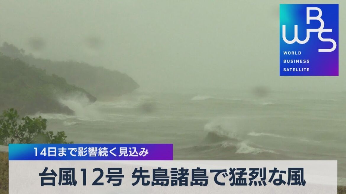 台風12号 先島諸島で猛烈な風 14日まで影響続く見込み【WBS】（2022年9月12日）