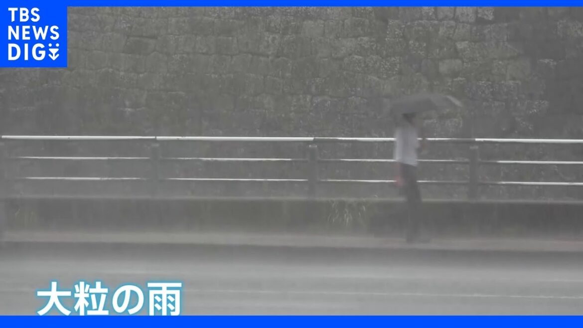 台風8号、お盆の週末直撃…東海や関東甲信に接近、上陸のおそれ　海の家やリンゴ農家で備え急ぐ｜TBS NEWS DIG