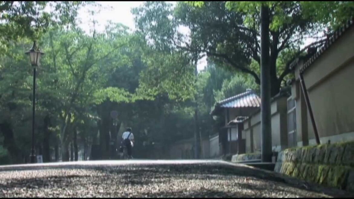 奈良市「観光PR映像‐夏‐」河瀨直美作品