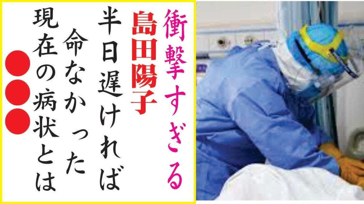 島田陽子の現在！今現在の様子がヤバすぎる・・・