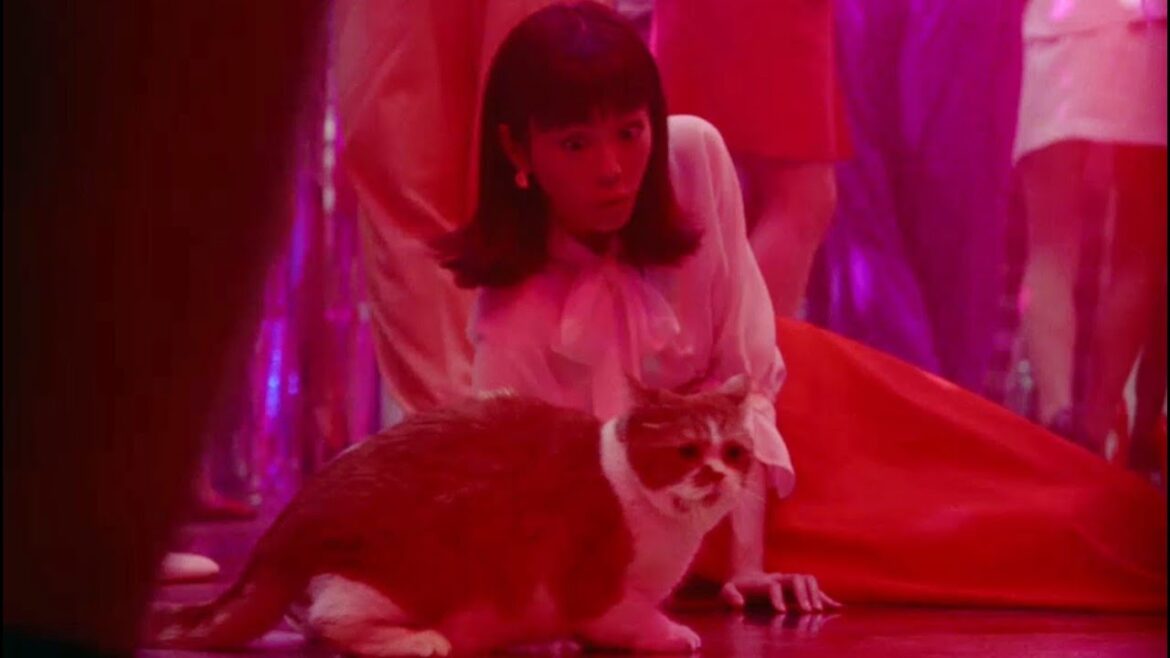 桐谷美玲とふてニャンが1980の時代へ 120人のボディコンギャルが踊る！Y!mobile 新ＣＭ「1980SHOCK」シリーズ 「タイムスリップ」篇