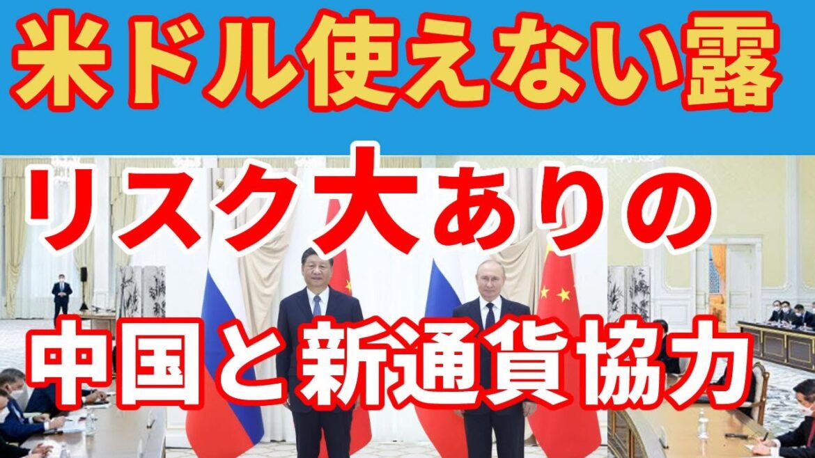 脱ドル目指す中露！BRICSでは新通貨やエネルギー事業協力も強化 1