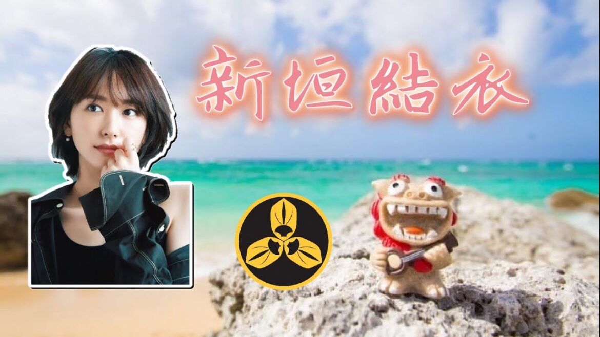 超治愈的美人！宅男收割機！日本男人最想與之談戀愛的女明星！來自衝繩的精靈 新垣結衣