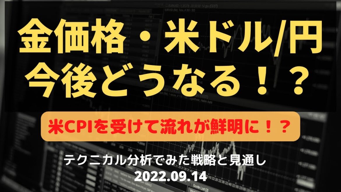 金価格・米ドル/円　今後どうなる！？ 米CPIを受けて流れが鮮明に！？ テクニカル分析でみた見通しと戦略 9月14日（水）
