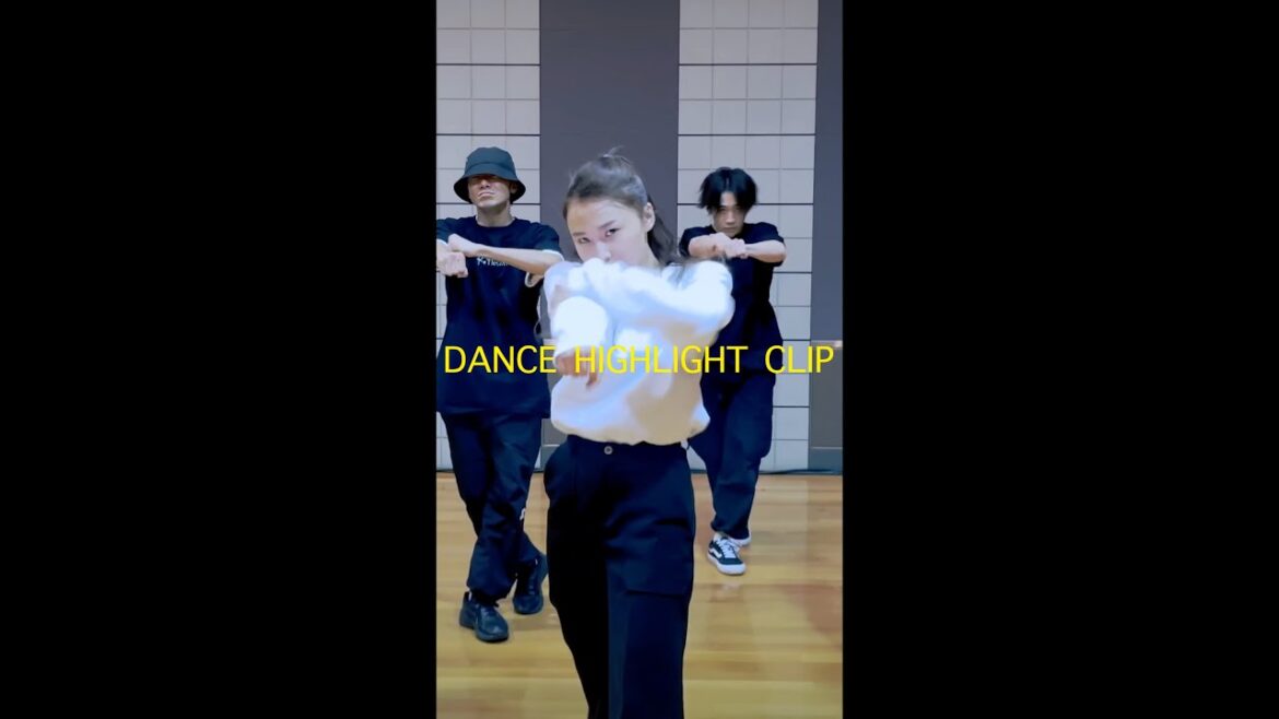 鞘師里保 - Go-by(DANCE HIGHLIGHT CLIP)