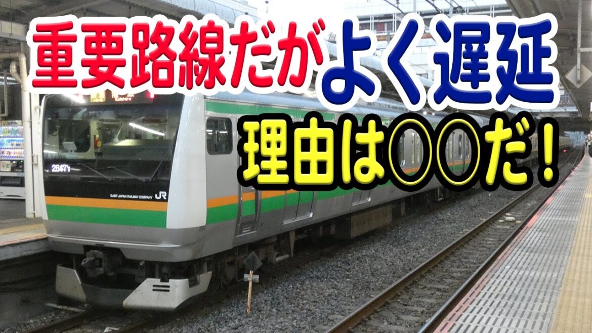 頻繁に遅延する湘南新宿ライン、理由は何？背景には○○が…【湘南新宿ライン/JR東日本】