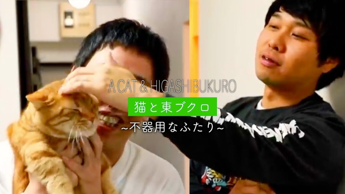 猫と東ブクロが触れ合うシーン集めました