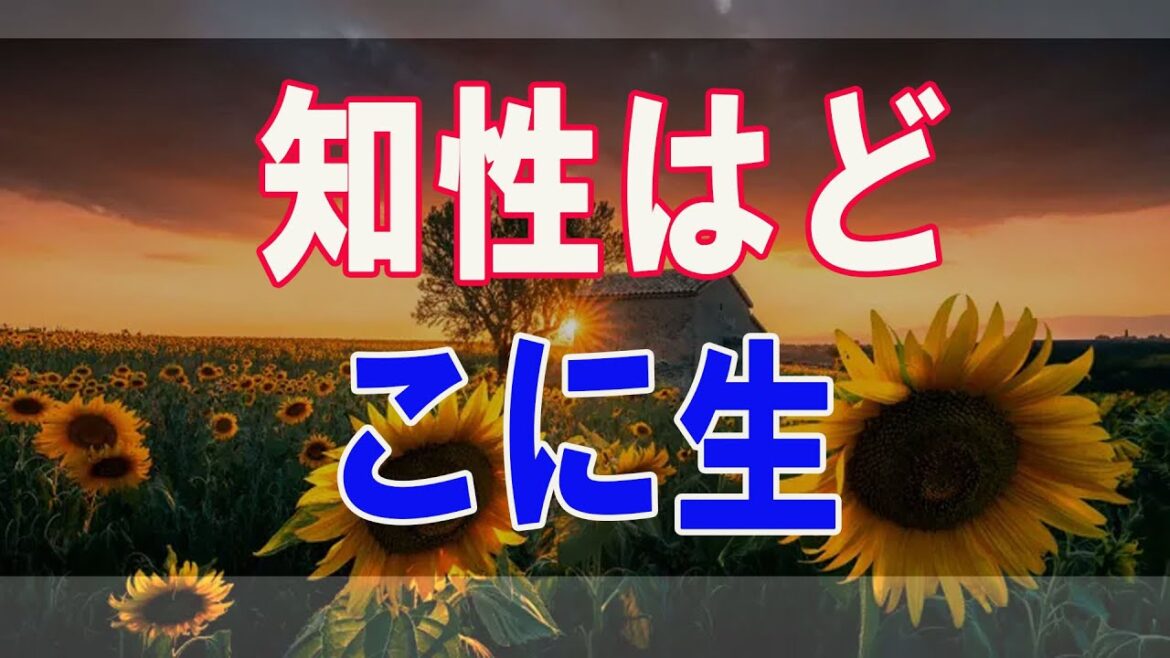 武田鉄矢今朝の三枚おろし  知性はどこに生まれるか 9