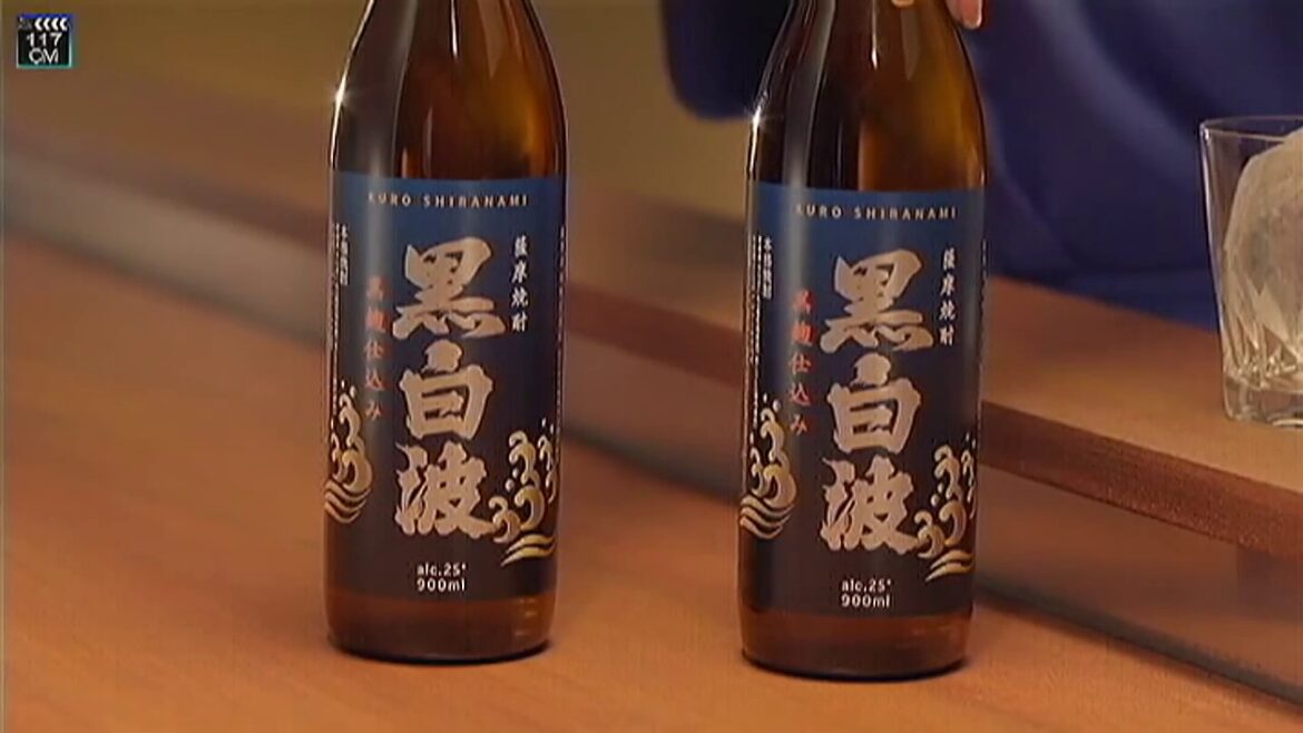 黒白波米倉涼子Ver