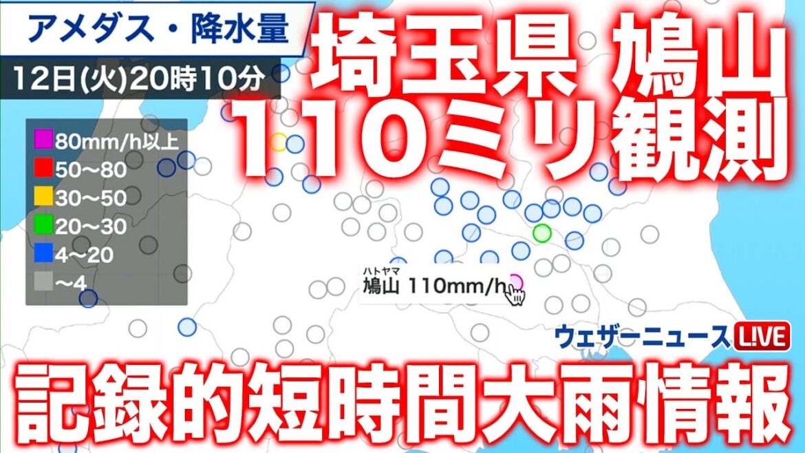 【記録的短時間大雨情報】埼玉県鳩山で110ミリを観測