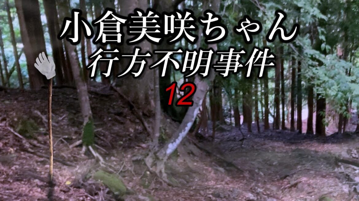 小倉美咲ちゃん失踪事件⑫
