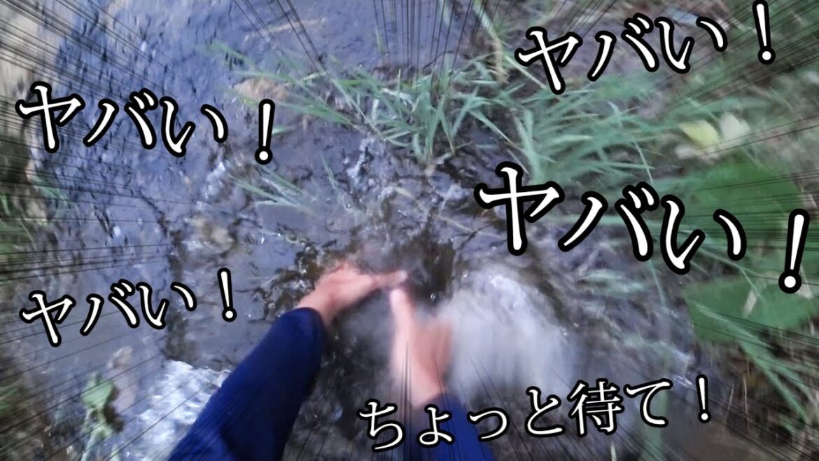 【衝撃映像】山奥の池に、決死のダイブ!!!!!!! 【衝撃映像】山奥の池に、決死のダイブ!!!!!!!