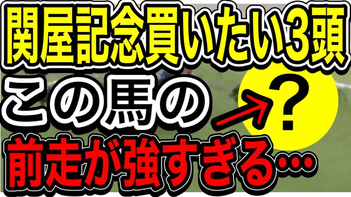 【関屋記念2022】『買いたい3頭』その中でも前走内容が衝撃なのが・・・