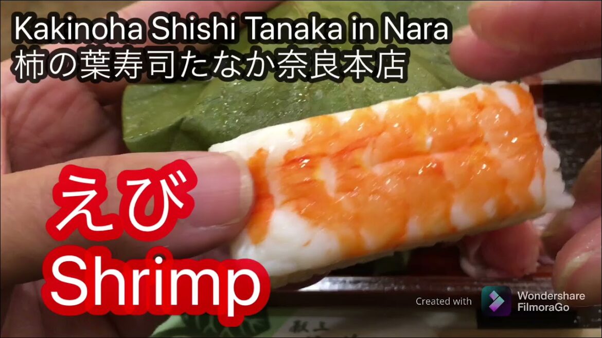 Kakinoha sushi Tanaka ya main shop 柿の葉寿司たなかや本店