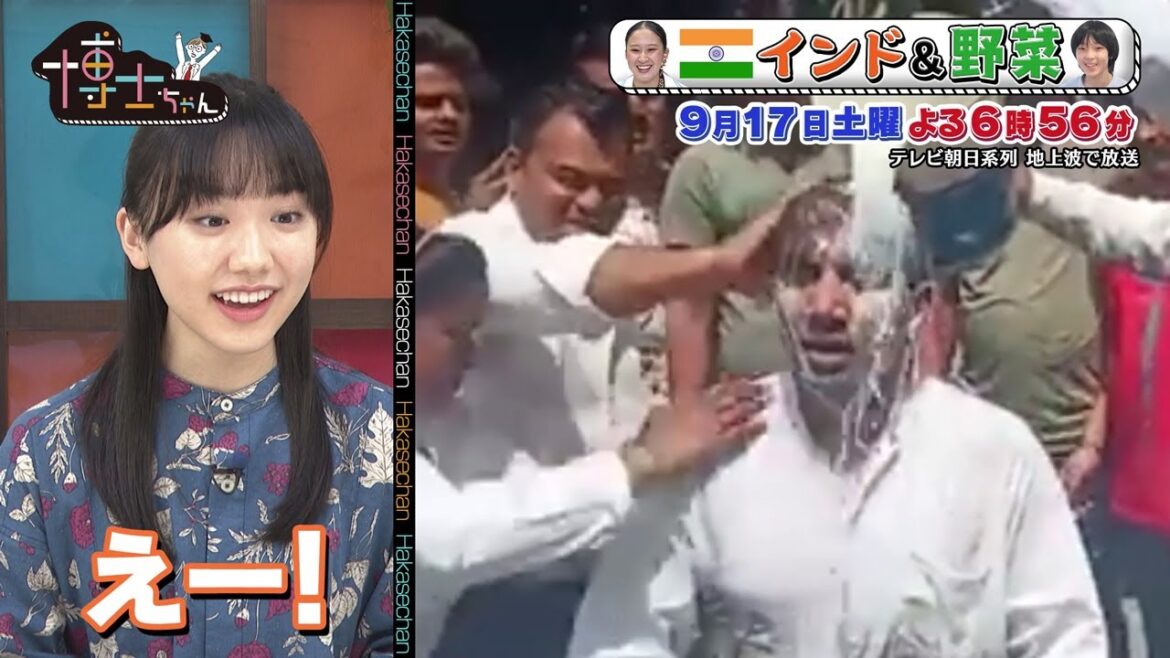 9月17日（土）サンドウィッチマン＆芦田愛菜の博士ちゃん　衝撃映像から紐解くインドの魅力を爆笑授業！ももクロ玉井詩織と東京の大人気デパ地下で激レア野菜探し！