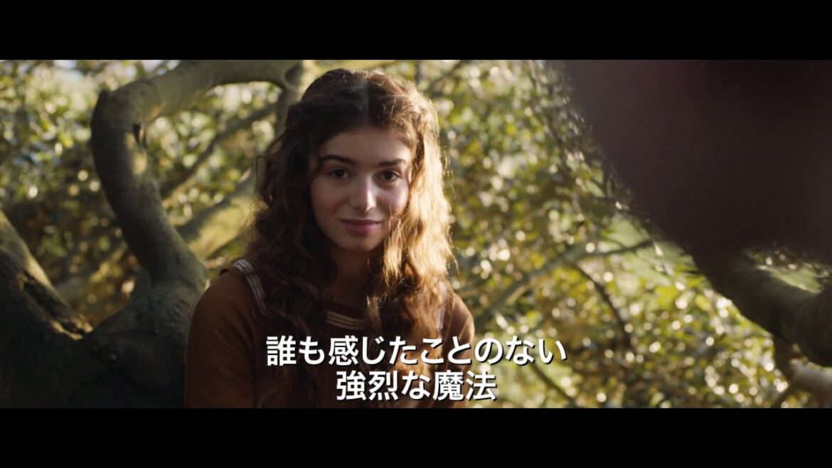 『トールキン　旅のはじまり』 浪川大輔さんナレーション入り予告映像