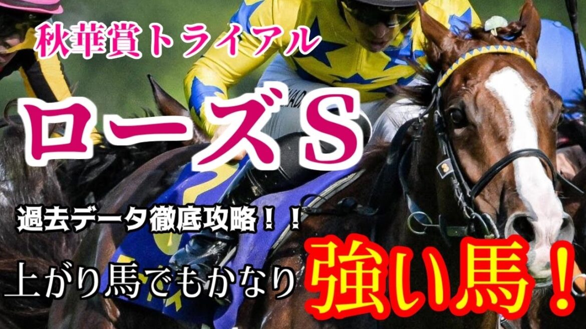 【ローズＳ2022】アートハウスは問題外！今年はヤバい上がり馬！過去データまとめ！競馬初心者も安心！血統,枠順,人気,調教,前走,三連単的中目指して予想！セントライト記念の注目馬は次の動画で紹介！