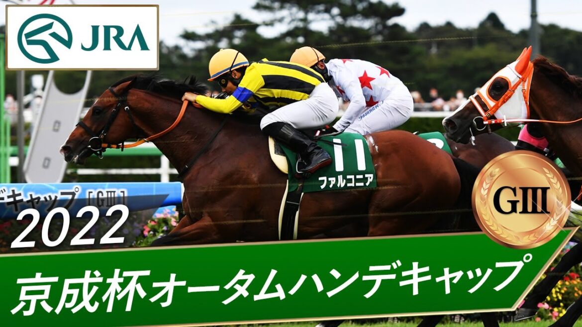 2022年 京成杯オータムハンデキャップ（GⅢ） | ファルコニア | JRA公式