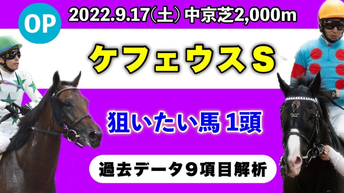 【ケフェウスステークス2022】過去データ9項目解析!!どんなレースかを掴める動画です!!買いたい馬1頭について(競馬予想)