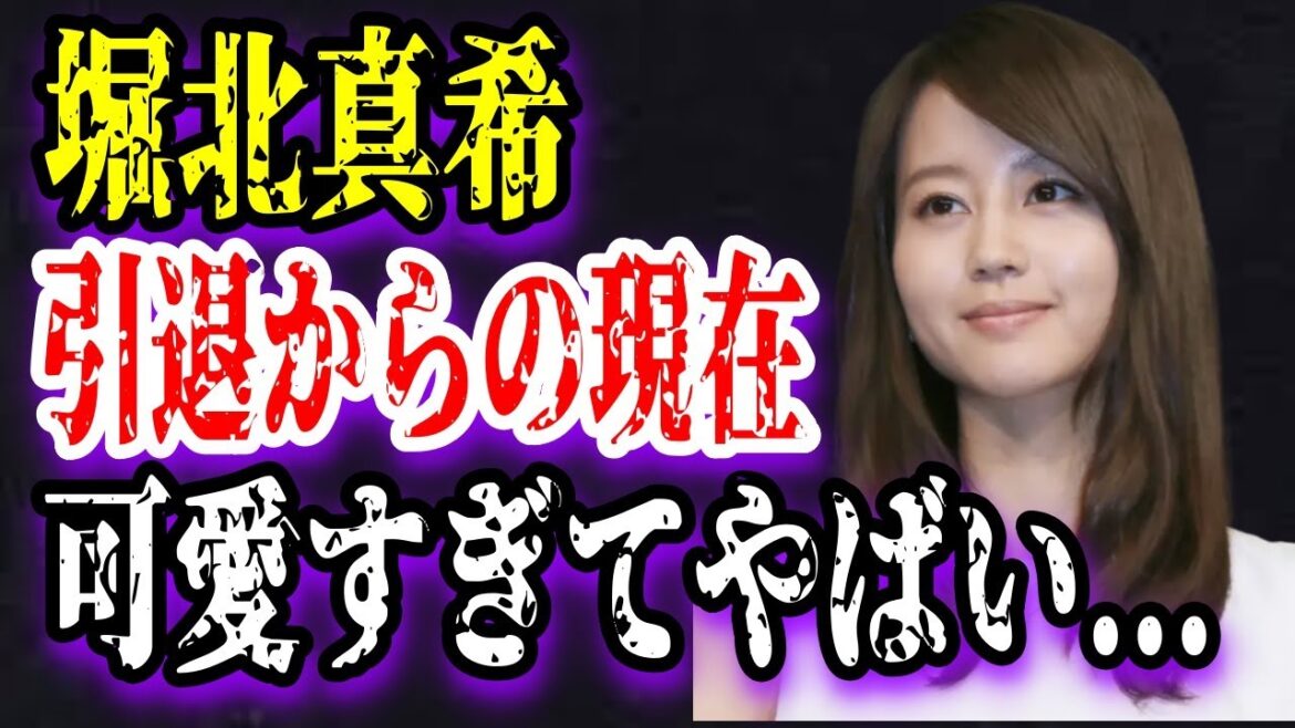 【ゆっくり解説】堀北真希、引退からの現在が可愛すぎてやばい...