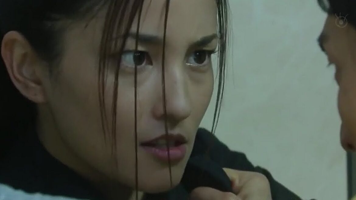 【任侠ヘルパー】ドラマ2009 第1-11期フル(草なぎ剛・黒木メイサ )