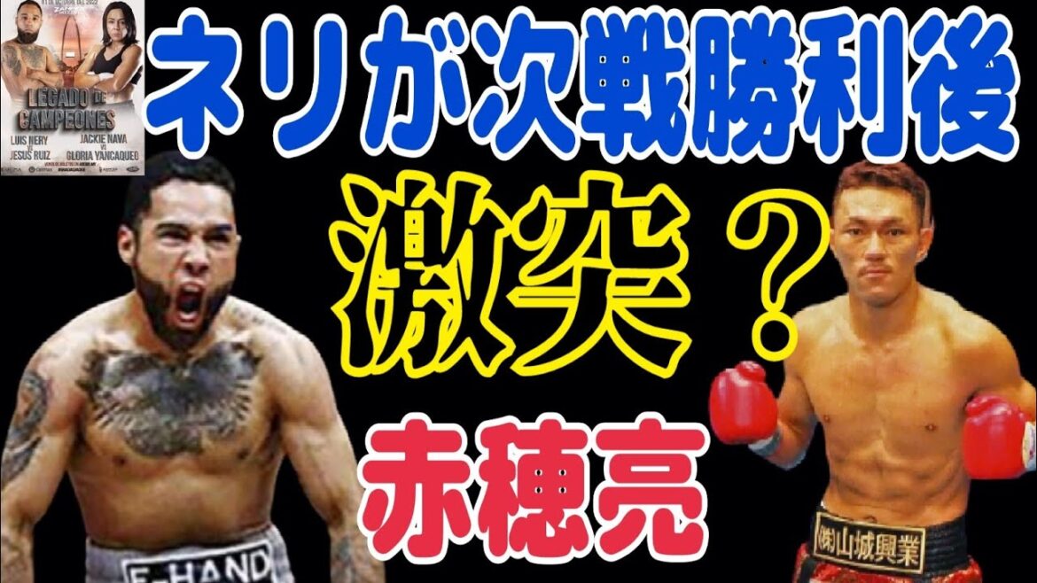 ネリの動向が判明【vs赤穂亮】カシメロ？