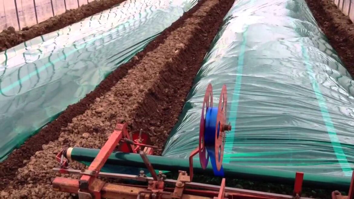 20130430樹上完熟メロンのベッド造成