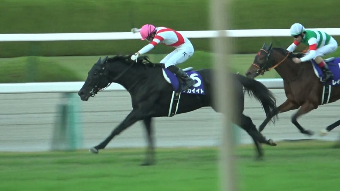 2021 第46回エリザベス女王杯GⅠウィニングラン 現地映像 アカイイト 大波乱を演出!! 勝った幸騎手が横山典弘や池添騎手とグータッチ