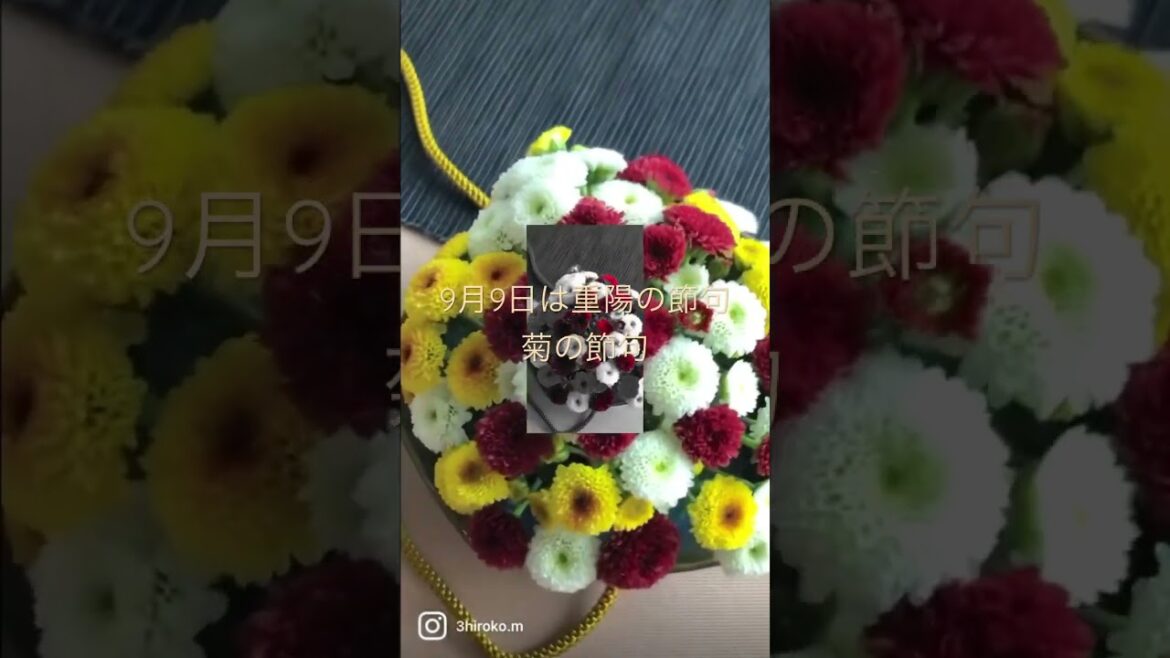 9月9日は菊の節句 9月9日は菊の節句