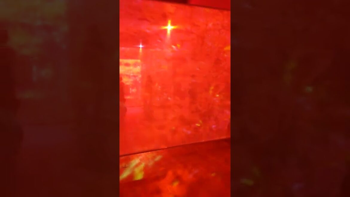 [ART] 蜷川実花展@東京庭園美術館