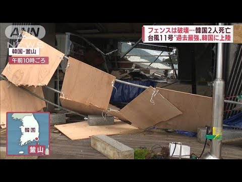 【台風11号】強風で看板落下、街路樹倒れる 福岡や山口で被害 韓国では死者も(2022年9月6日) 【台風11号】強風で看板落下、街路樹倒れる 福岡や山口で被害 韓国では死者も(2022年9月6日)
