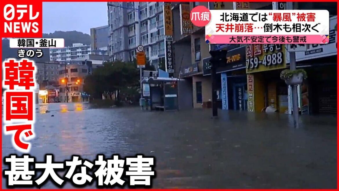 【台風11号】温帯低気圧に変化…各地に爪痕  韓国で地下駐車場に浸水し8人死亡も 【台風11号】温帯低気圧に変化…各地に爪痕  韓国で地下駐車場に浸水し8人死亡も