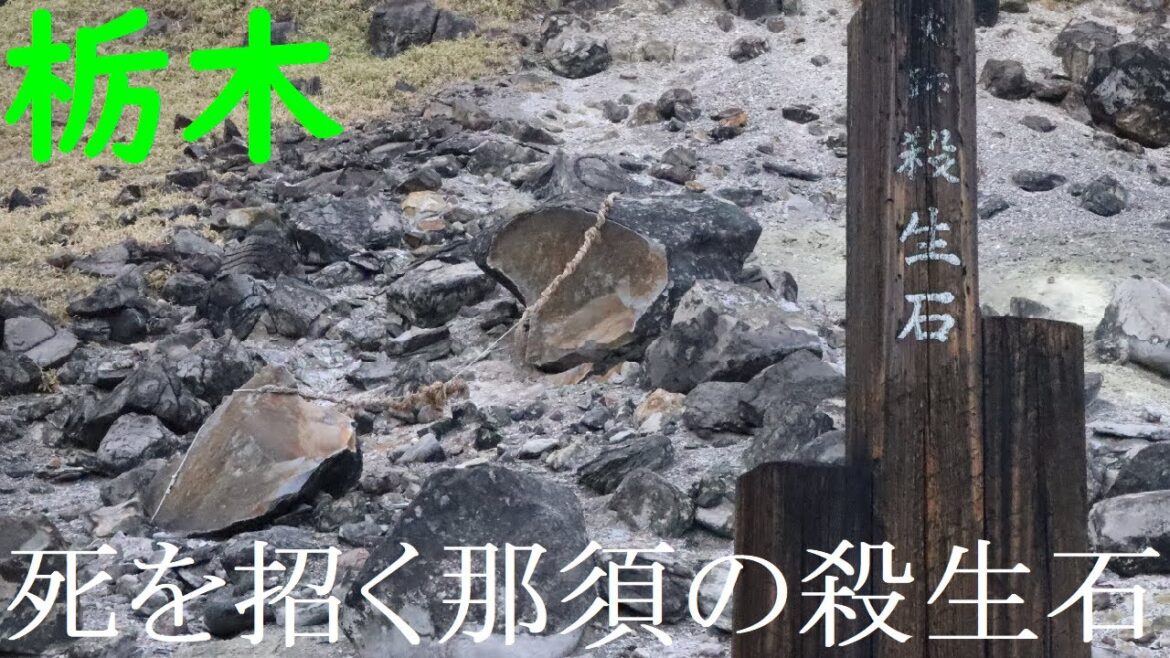 【栃木】危険な石！？芭蕉も訪れた殺生石を見に行ってみた！【那須高原・人気観光スポット】