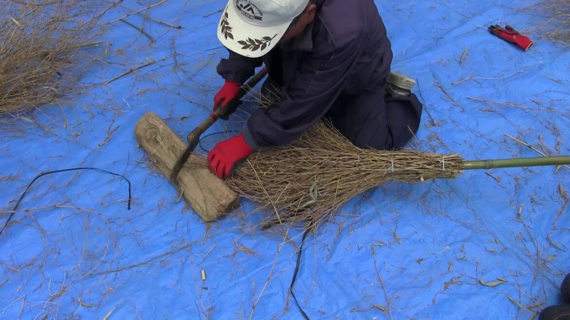 種子島の学校活動：住吉小学校竹ほうき作り体験