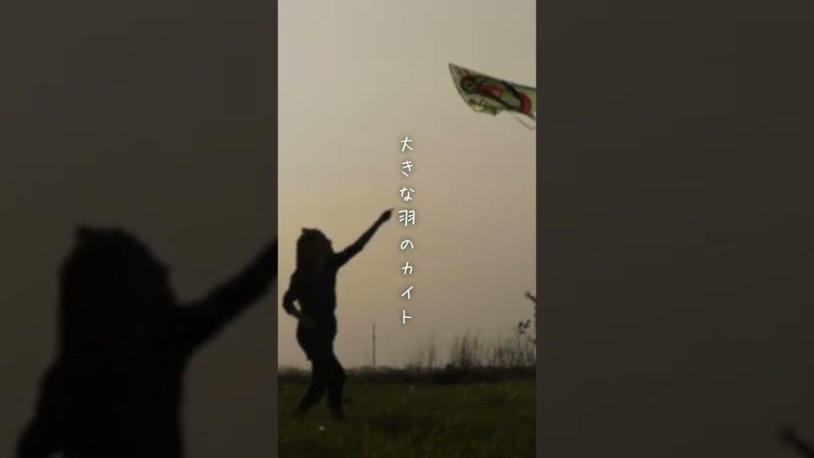 米津玄師 - カイト (Cover by 藤末樹 / 歌：HARAKEN)