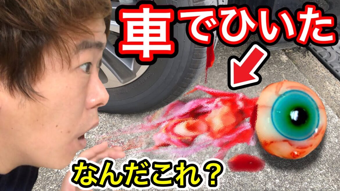 ※見たことない謎の生き物を車でひいてしまいました…