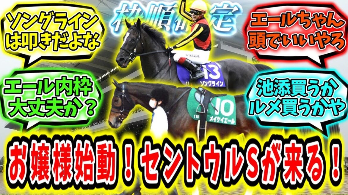 『【枠順確定】お嬢様始動！セントウルステークスが来る！』に対するみんなの反応