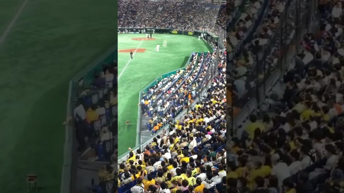 【けつあな確定】阪神ファンから特大ブーイングを受ける坂本勇人
