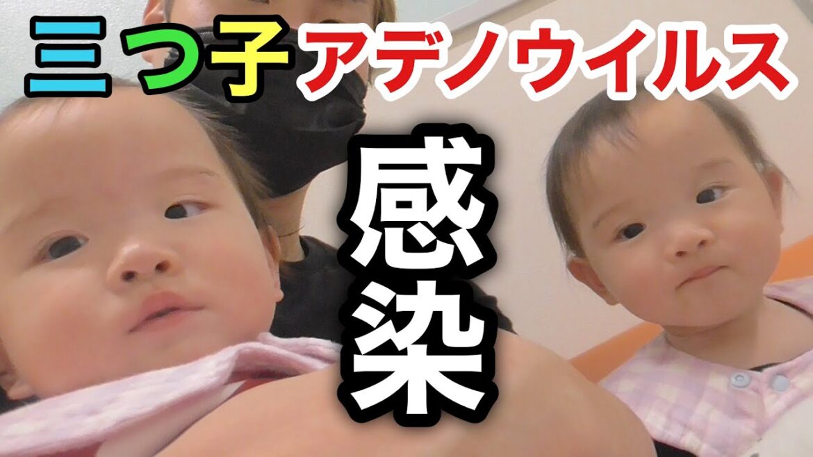 【アデノウイルス】再び三つ子に危機が訪れました