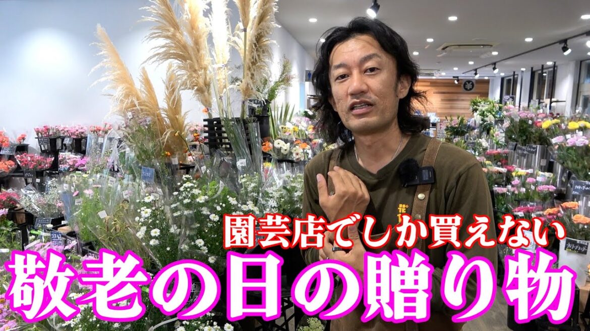 【カーメン君おすすめ】敬老の日に感謝の気持ちを込めて贈る花