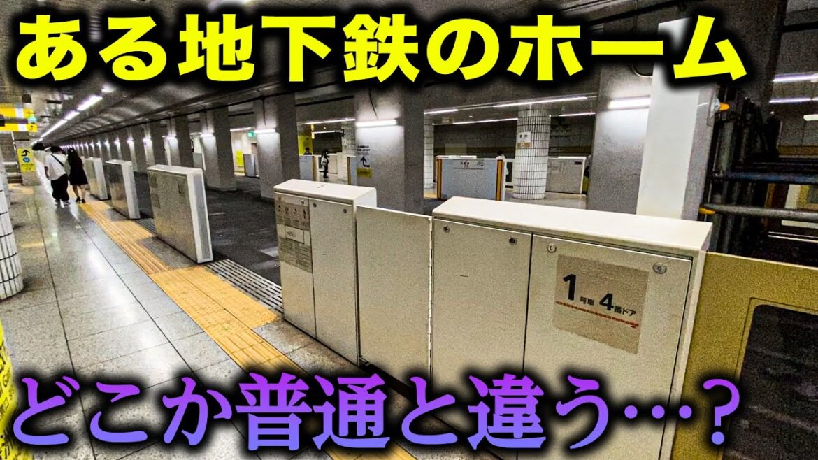 【メトロの謎】豊洲駅で謎の光景…！線路はないのに何故か残された「アレ」！【東京メトロ全駅スタンプラリー】