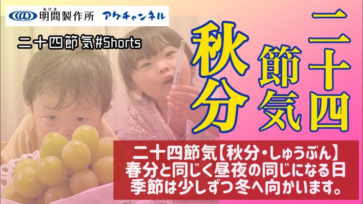【二十四節気】『秋分・しゅうぶん』そんな季節にみっくんのよちよち歩きで！