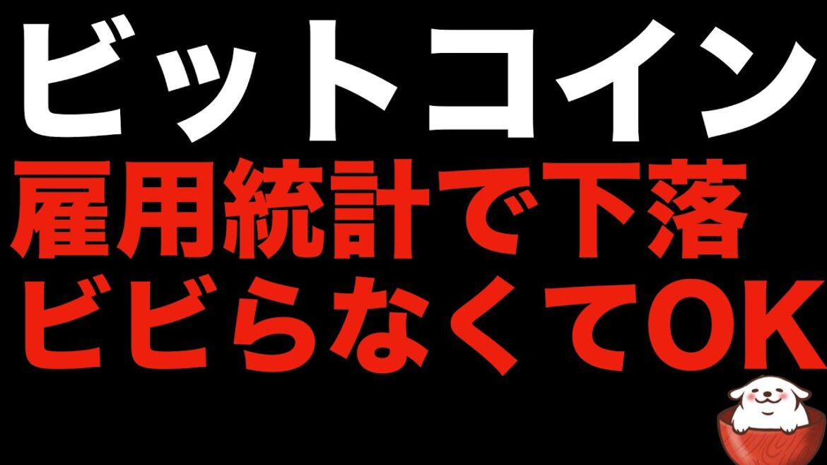 【仮想通貨 ビットコイン】ビビるな！今回の下落はインフレ鈍化の期待が外れて戻っただけ！（朝活配信888日目 毎日相場をチェックするだけで勝率アップ）【暗号資産 Crypto】
