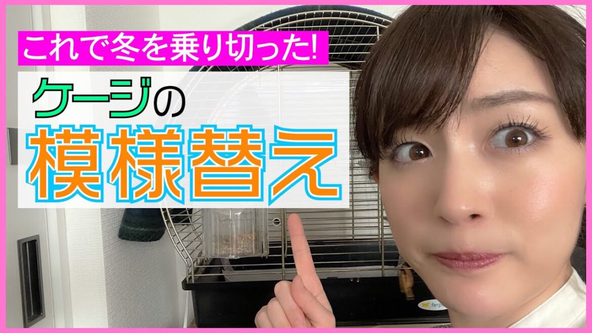 【何気なく新作！】ラピスはこれで冬を乗り越えました♪ 恵理那とラピスの部屋#31（ラストアーカイブ）
