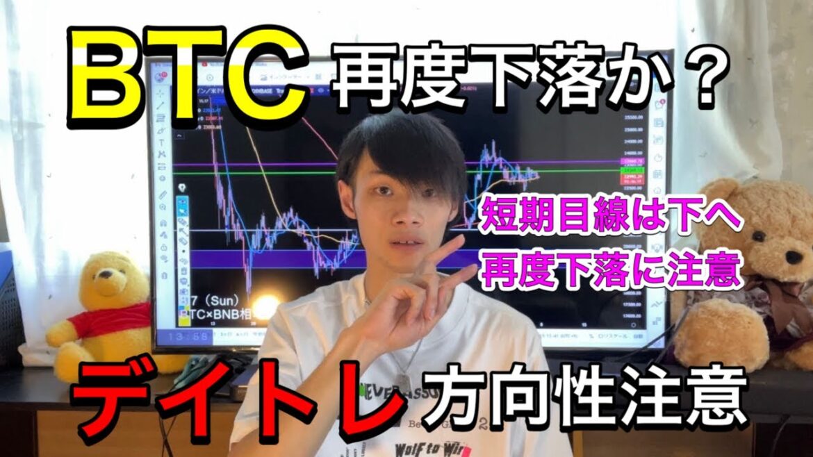 【再度下落濃厚】　ビットコイン、デイトレの方向性注意！　【BTC相場分析】